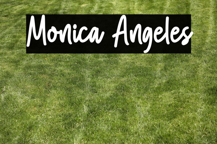 Monica Angeles Example 3