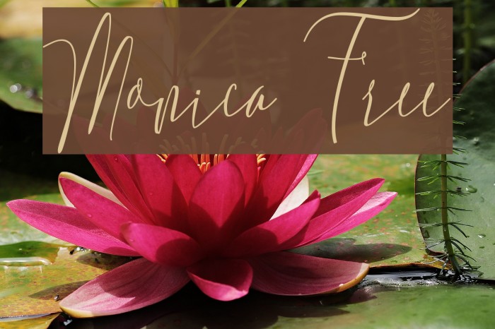 Monica Free Font examples