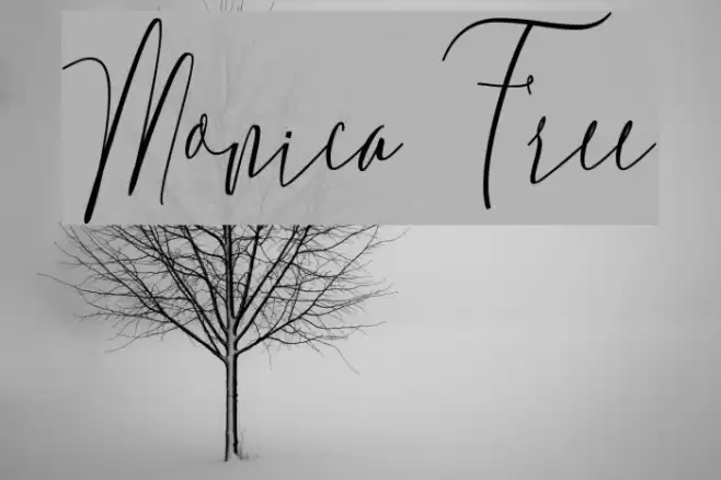 Monica Free Font examples