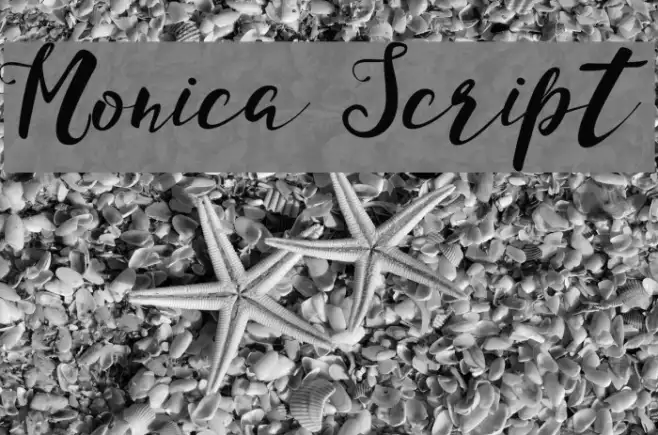 Monica Script Example 2