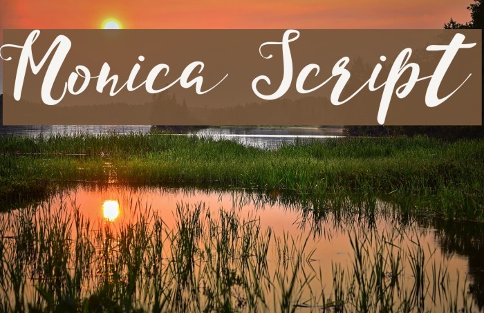 Monica Script Font examples