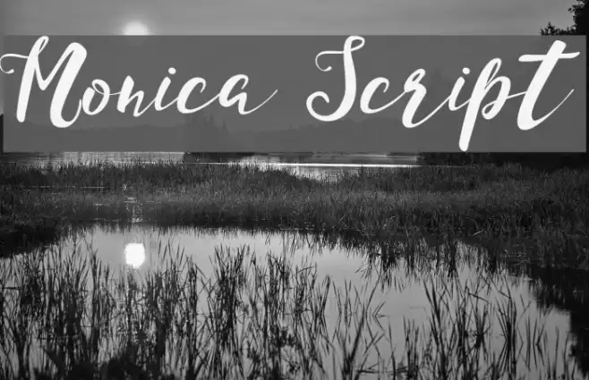 Monica Script Example 3