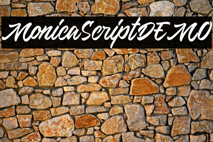 MonicaScriptDEMO Example 2