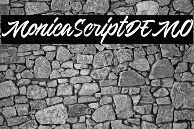 MonicaScriptDEMO Example 2
