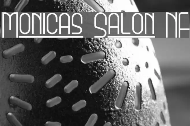 Monicas Salon NF Fonte examples
