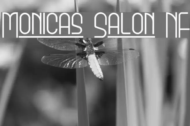 Monicas Salon NF Fonte examples