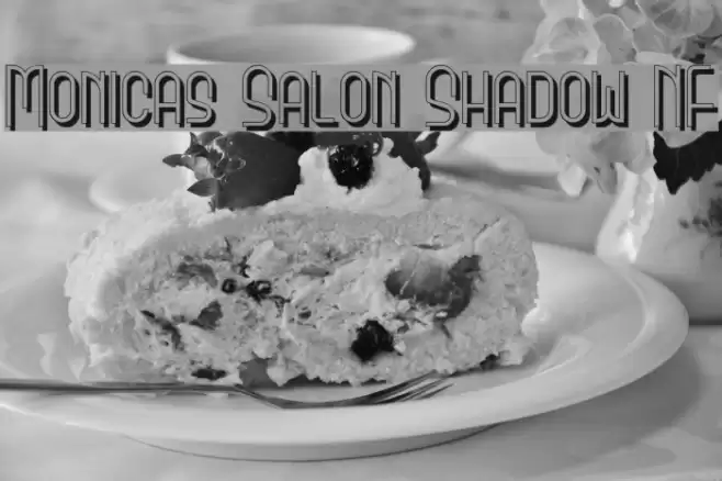 Monicas Salon Shadow NF Font examples