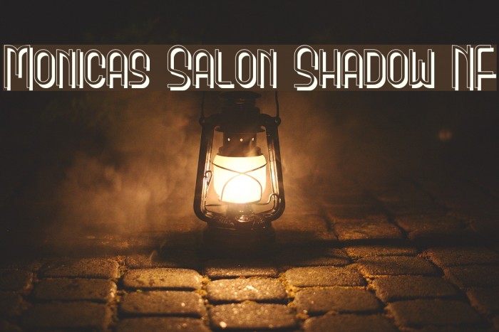Monicas Salon Shadow NF Font examples