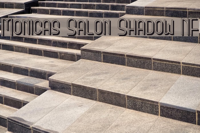 Monicas Salon Shadow NF Font examples