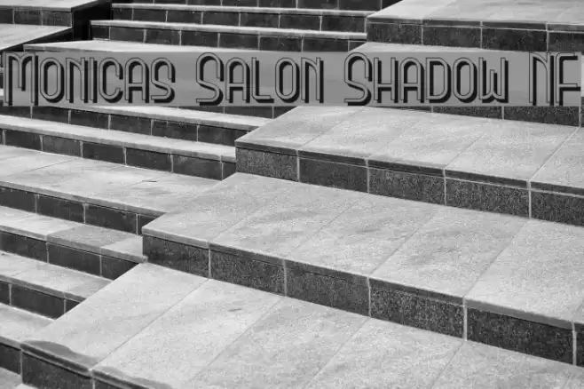 Monicas Salon Shadow NF Font examples