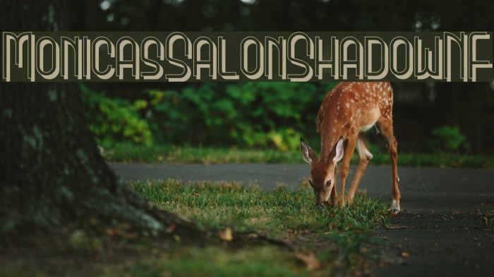 MonicasSalonShadowNF Example 2