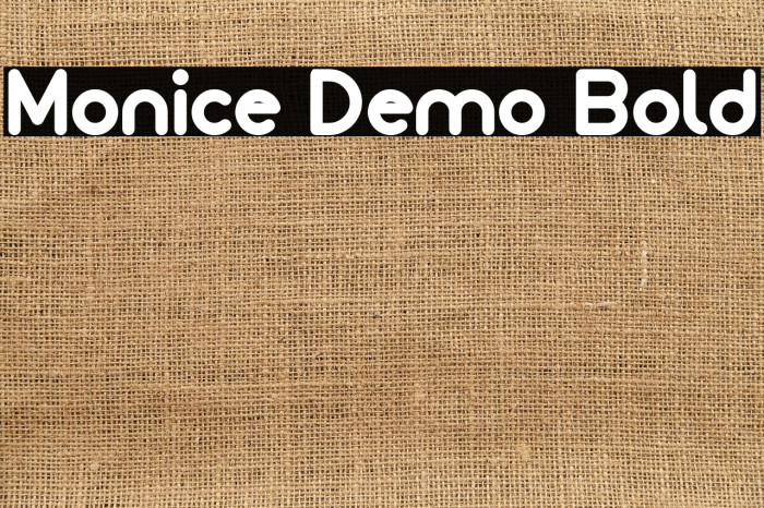 Monice Demo Bold Example 2