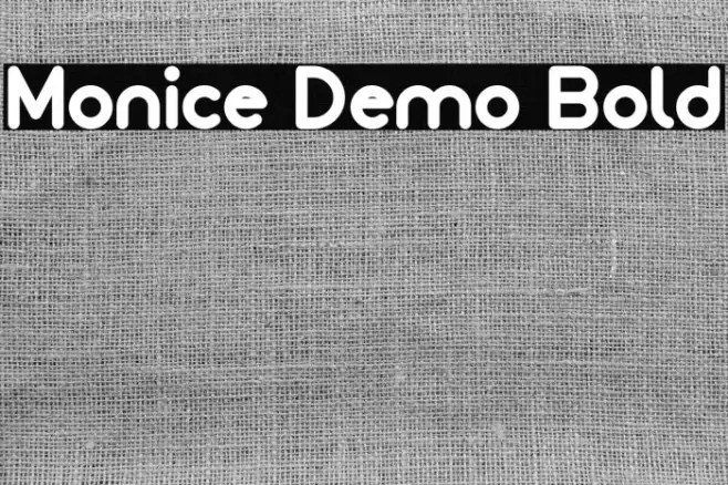 Monice Demo Bold Example 2
