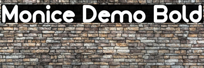 Monice Demo Bold Example 3