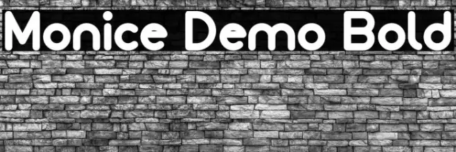 Monice Demo Bold Example 3