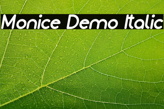 Monice Demo Italic Example 1