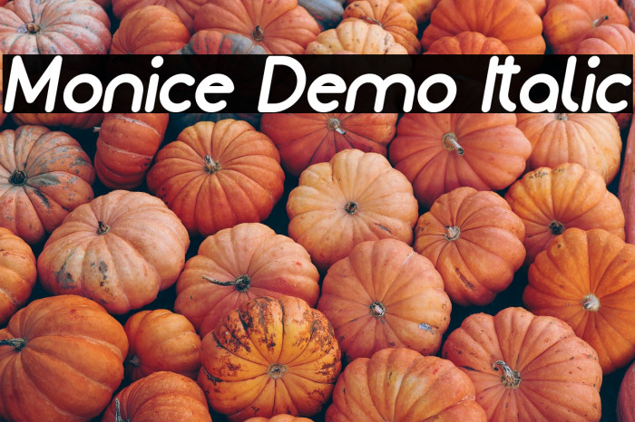 Monice Demo Italic Example 2