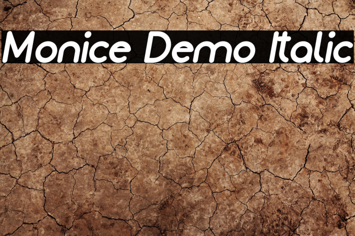 Monice Demo Italic Example 3