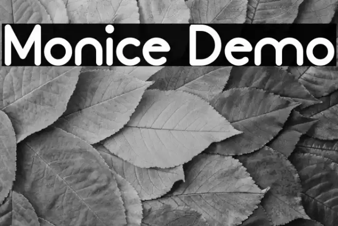 Monice Demo Font examples