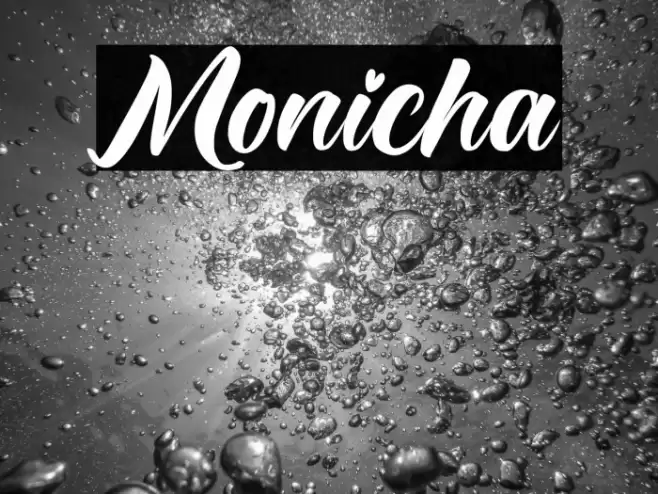Monicha Font examples