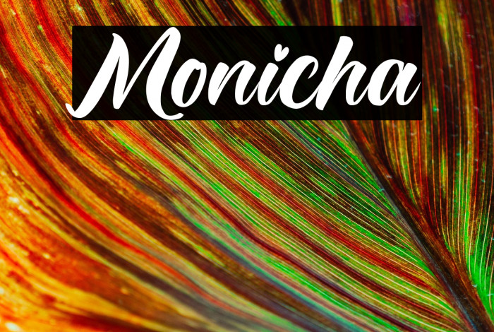 Monicha Example 3