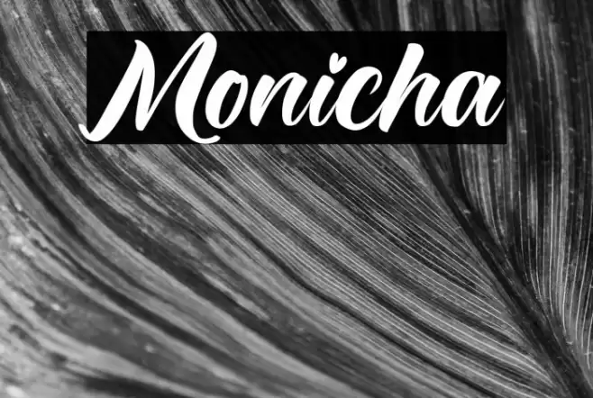 Monicha Font examples