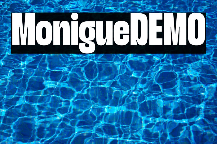 Monigue DEMO Example 1