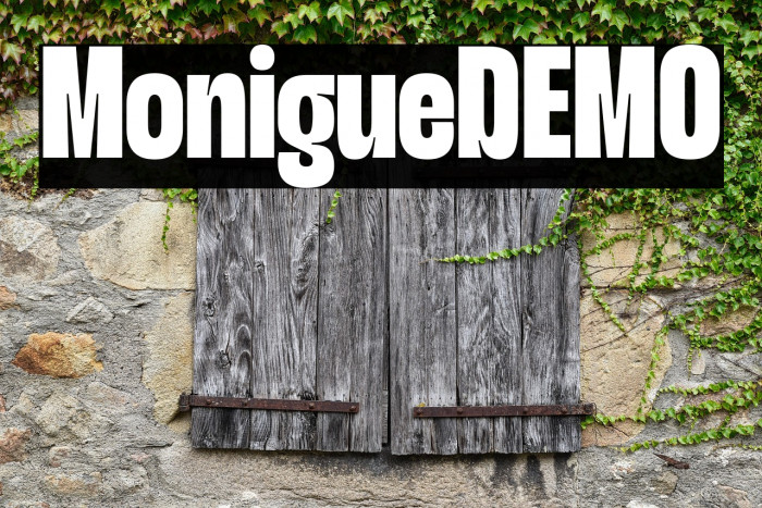 Monigue DEMO Example 2