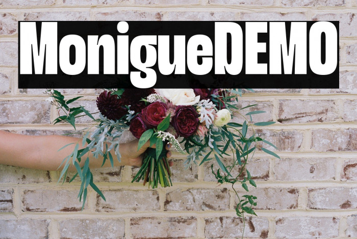 Monigue DEMO Example 3