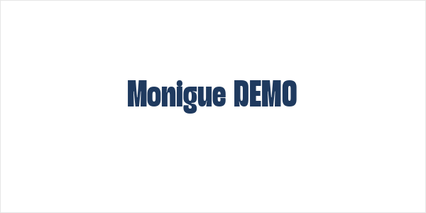 Monigue DEMO Logo