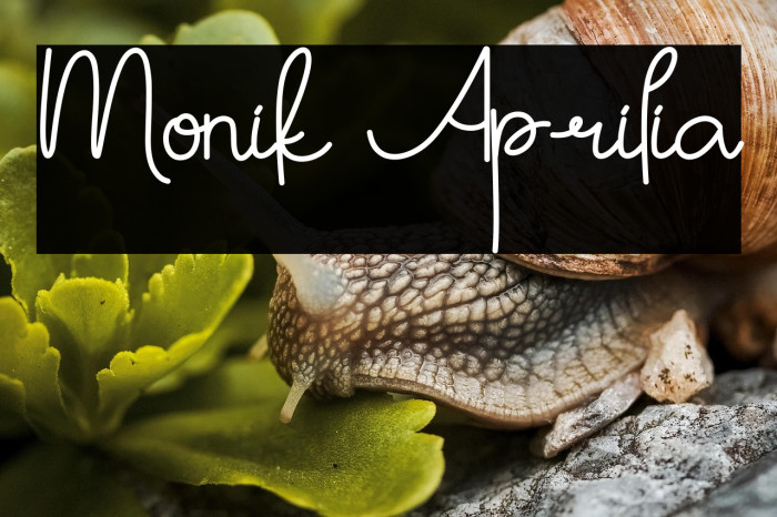 Monik Aprilia Example 1