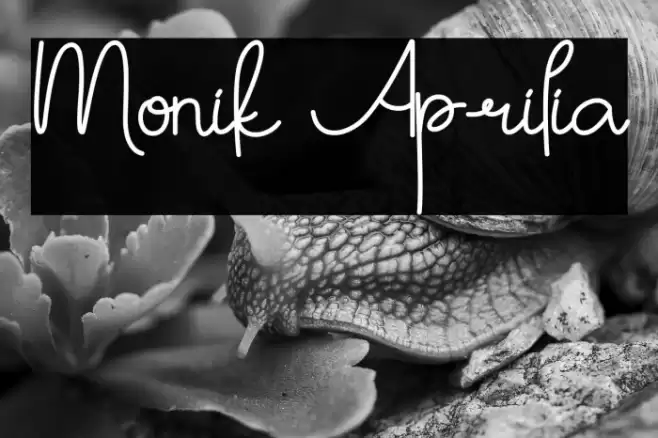 Monik Aprilia フォント examples