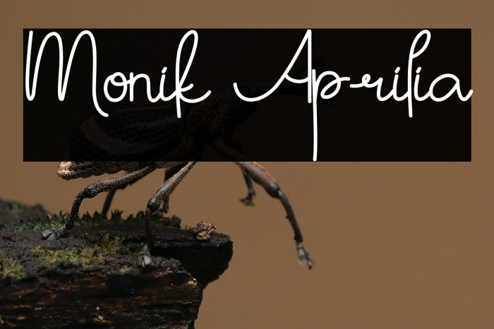 Monik Aprilia Example 2