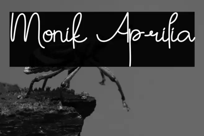 Monik Aprilia フォント examples