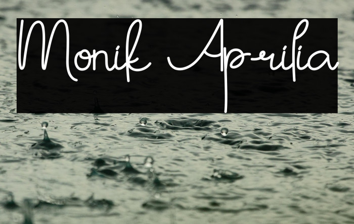 Monik Aprilia Example 3