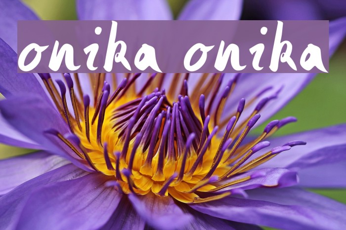 Monika Monika Font examples
