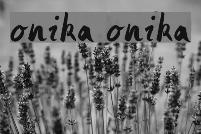 Monika Monika Font examples