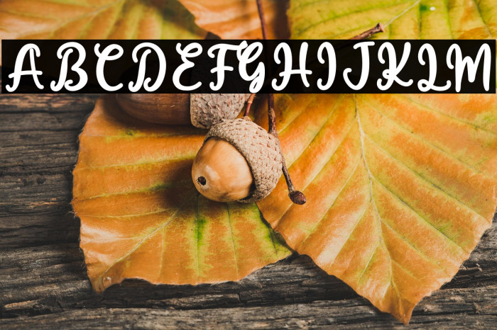 Monika Rosa Example 1