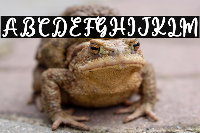 Monika Rosa Example 2