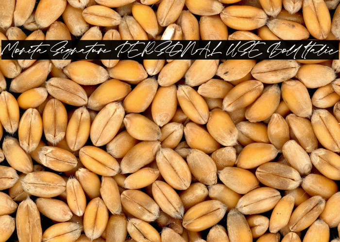 Monita Signature PERSONAL USE Bold Italic Example 1