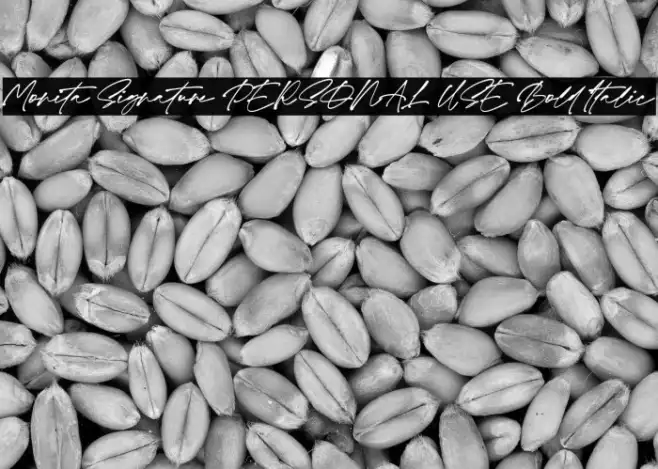 Monita Signature PERSONAL USE Bold Italic Example 1