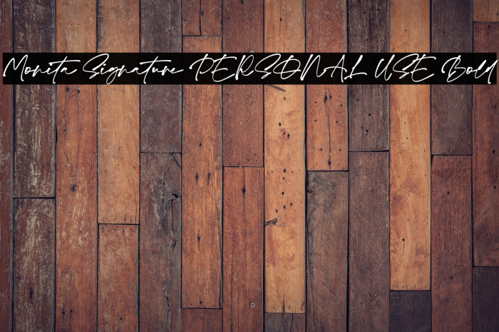 Monita Signature PERSONAL USE Bold Example 3