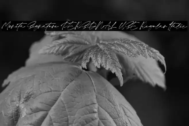 Monita Signature PERSONAL USE Regular Italic Font examples