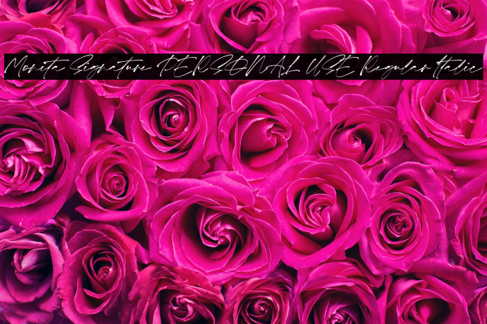 Monita Signature PERSONAL USE Regular Italic Example 2