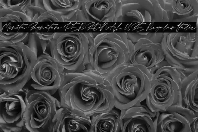 Monita Signature PERSONAL USE Regular Italic Font examples