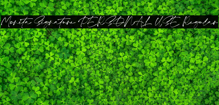 Monita Signature PERSONAL USE Regular Example 1