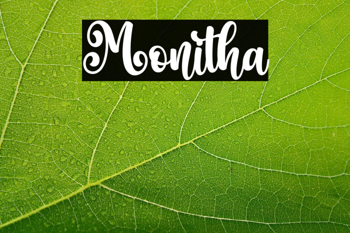 Monitha Example 1
