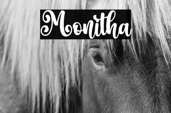 Monitha Example 2