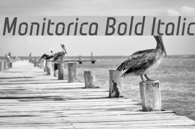 Monitorica Bold Italic Font examples
