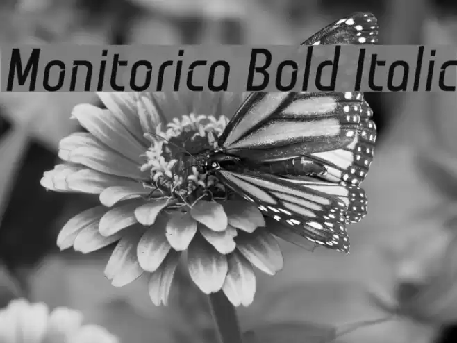 Monitorica Bold Italic Font examples